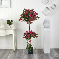 5ft. Potted Mini Bougainvillea Topiary