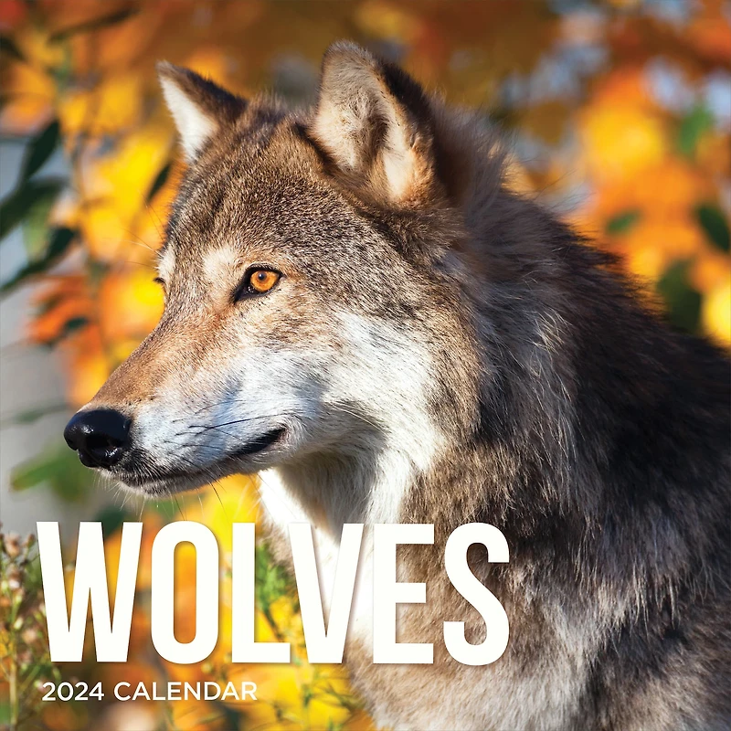 TF Publishing Wolves Wall Calendar