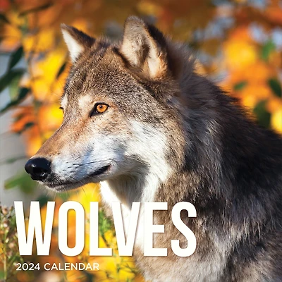 TF Publishing Wolves Wall Calendar