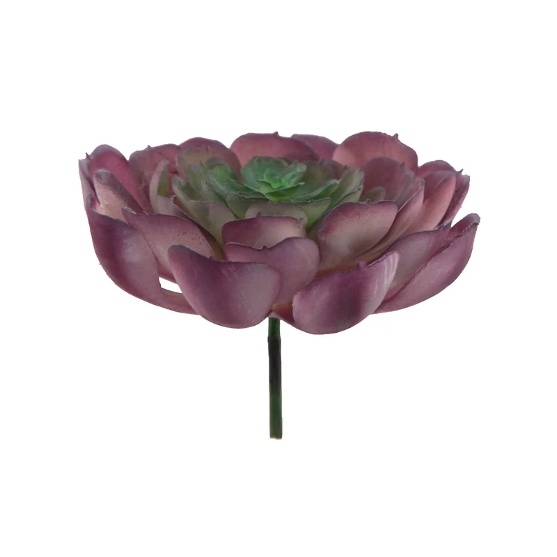 Flora Bunda® Large Echeveria Powder Succulent Pick