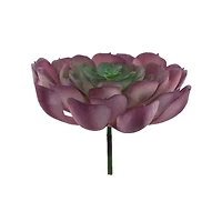 Flora Bunda® Large Echeveria Powder Succulent Pick