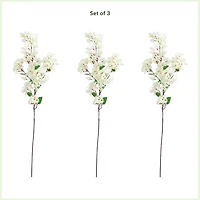 47" White Bougainvillea Flower Stems, 3ct.