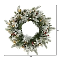 20" LED Flocked Mixed Pine & Berry Artificial Christmas Wreath