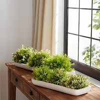 Variegated Mini Leaf Half Orbs