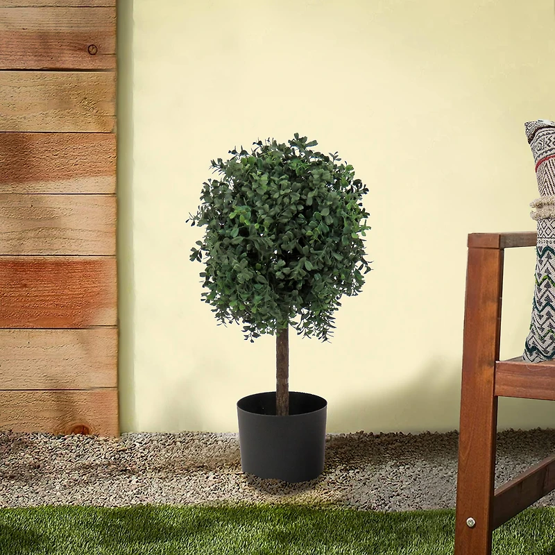 2ft. Boxwood Single Ball Topiary in Nursery Pot