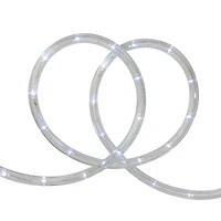 White LED Flexible Christmas Rope Light - 96'