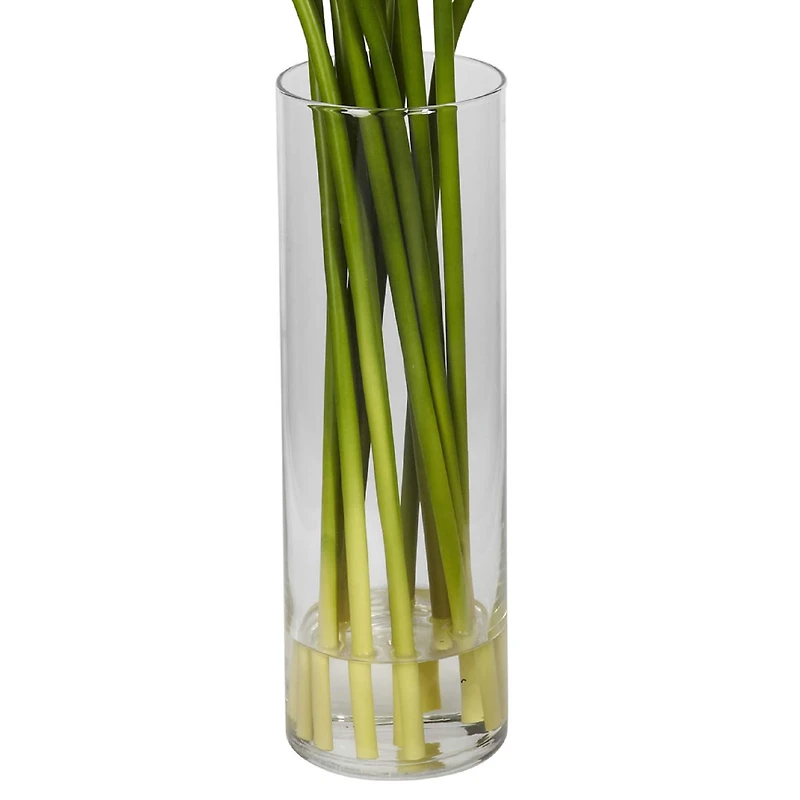 20" Mini Calla Lily Arrangement in Tall Vase