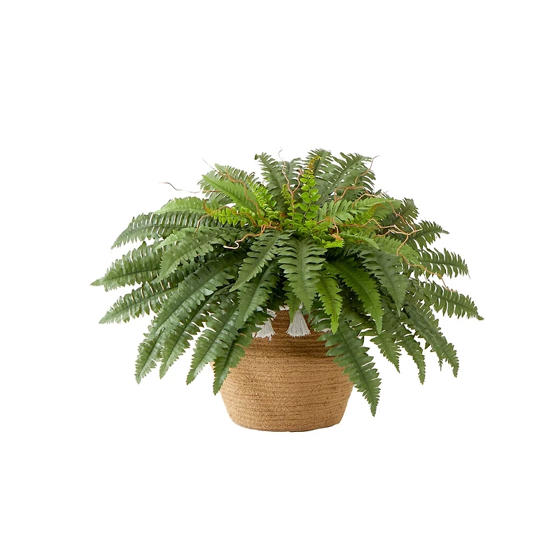 23" Artificial Boston Fern Plant in Handmade Jute & Cotton Basket with Tassels