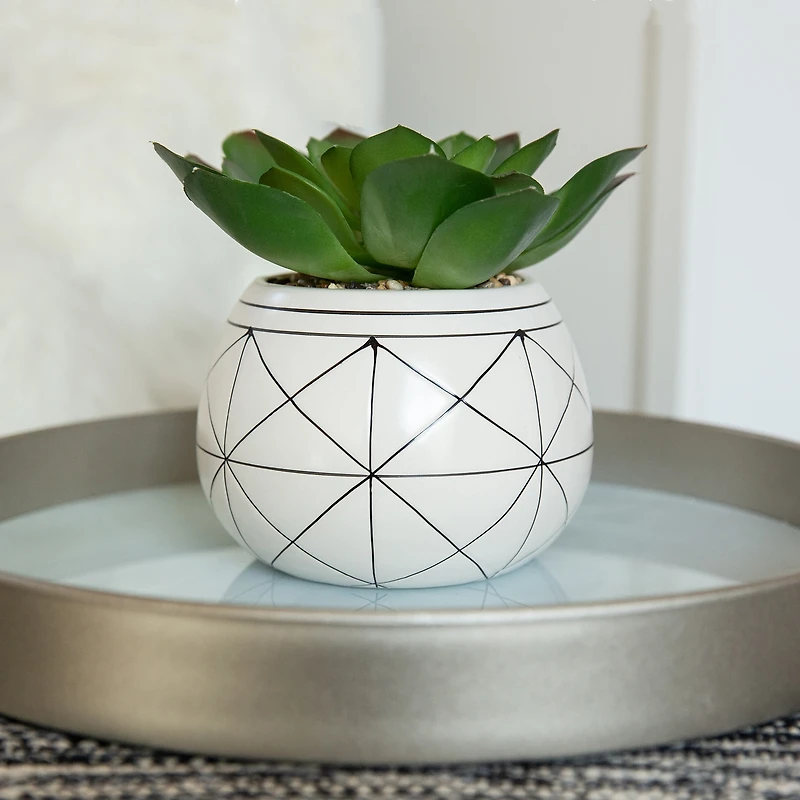 Flora Bunda® 6.5" Succulent In Gold Geo Hand Painted Ceramic Planter