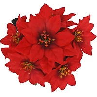 Potted Red Velvet Poinsettia Bush by Ashland