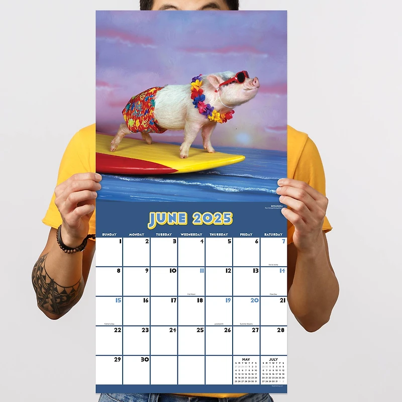 TF Publishing 2025 Playful Pigs Wall Calendar