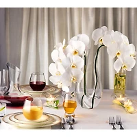 JoyJolt® Ambient Double Tea Light Candle Holders, 4ct.