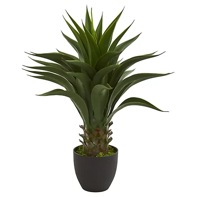 28” Potted Agave Plant