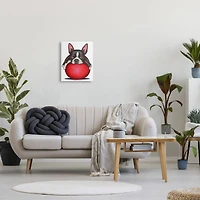 Stupell Industries Boston Terrier Big Red Ball Pet Dog Illustration Canvas Wall Art
