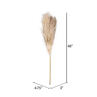 Dried Natural Pampas Grass, 6ct.