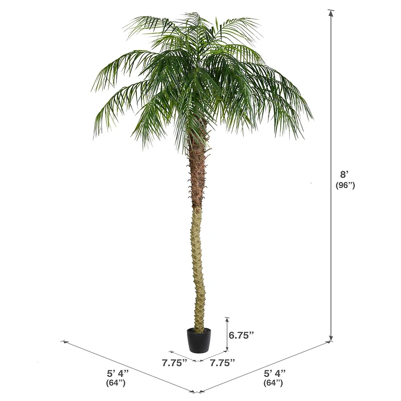 8ft. Potted Phoenix Palm Tree