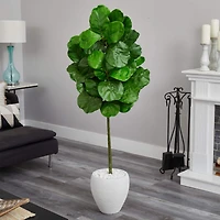 5ft. Fiddle Leaf Tree with White Planter