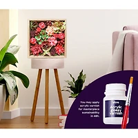 OKTO DIY Wood & Craft Passion Succulents Clay Kit