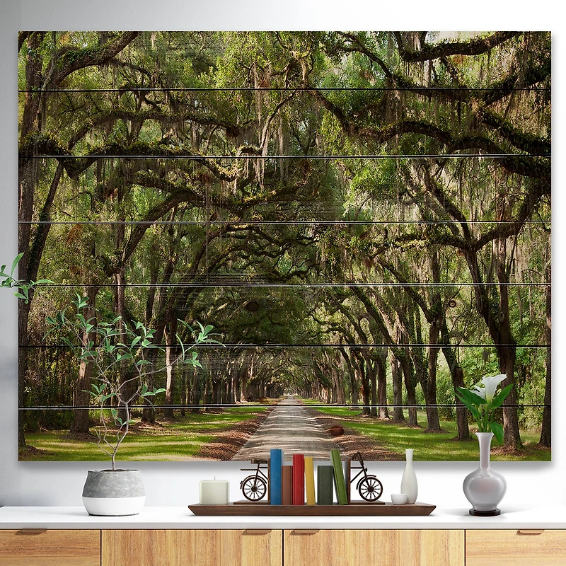 Designart - Live Oak Tunnel