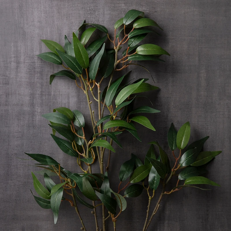 Osmanthus Stem by Ashland®