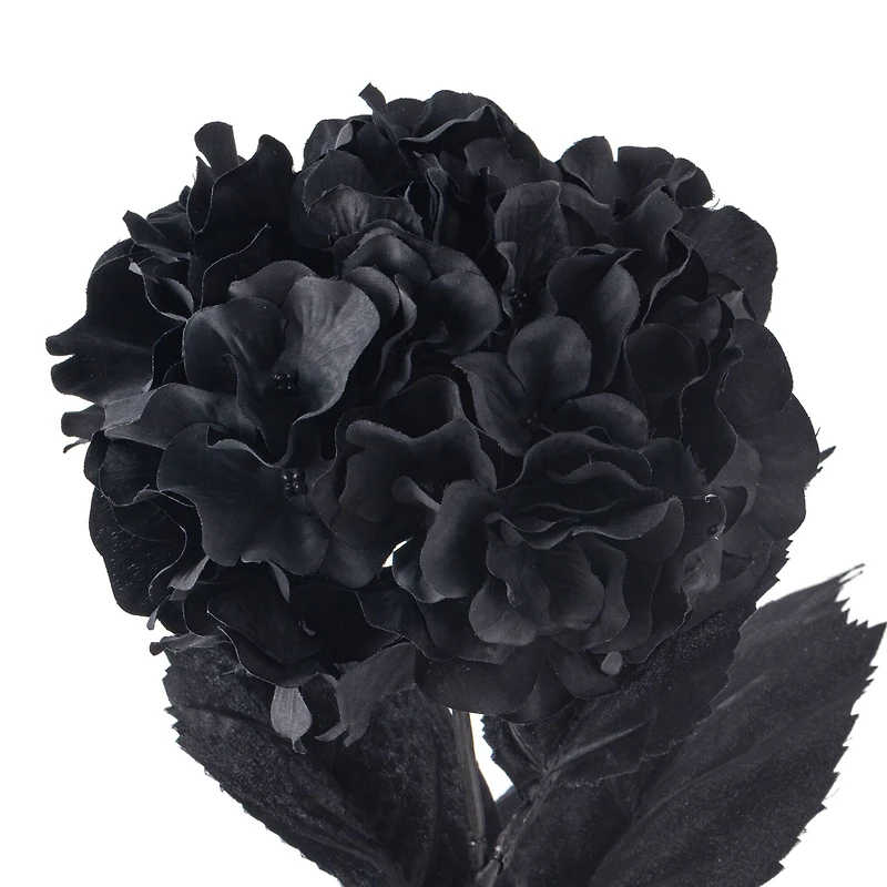 Black Hydrangea Stem by Ashland®