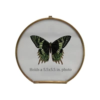 Hello Honey® Brass & Glass 5.5" x 5.5" Photo Frame