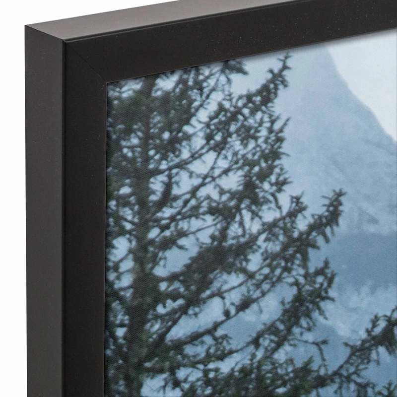 Moody Highland 21.73" x 31.73" Black Framed Canvas