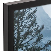 Moody Highland 21.73" x 31.73" Black Framed Canvas