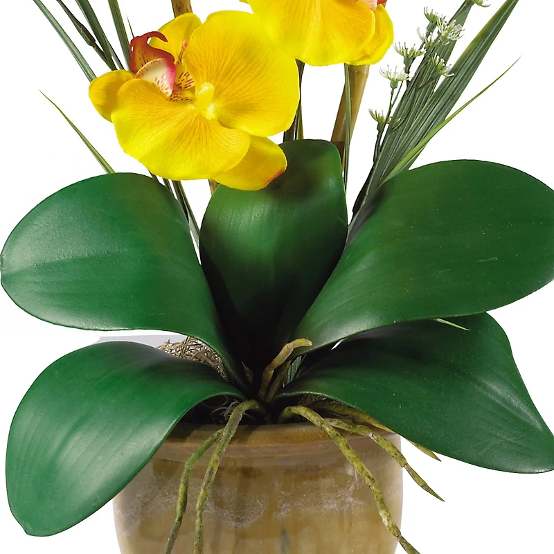 21'' Potted Yellow Moth Orchid Arrangement