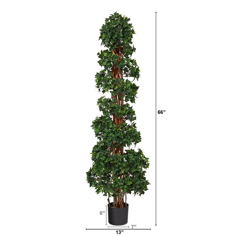 5.5ft. Potted English Ivy Spiral Topiary Tree
