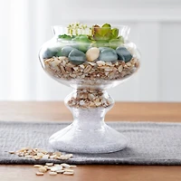 8 Pack: Natural Crushed Shells By Ashland™