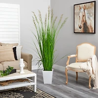 6.25ft. Grass Plant in White Metal Planter