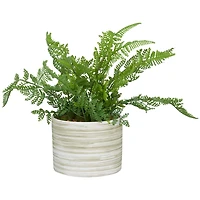 The Novogratz 13" Green Faux Foliage Fern Artificial Plant With Patterned Round Pot