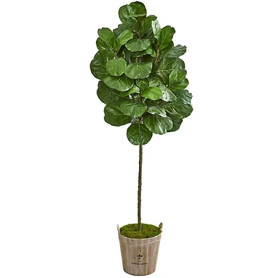 6.5ft. Green Fiddle Leaf Tree in Farmhouse Planter