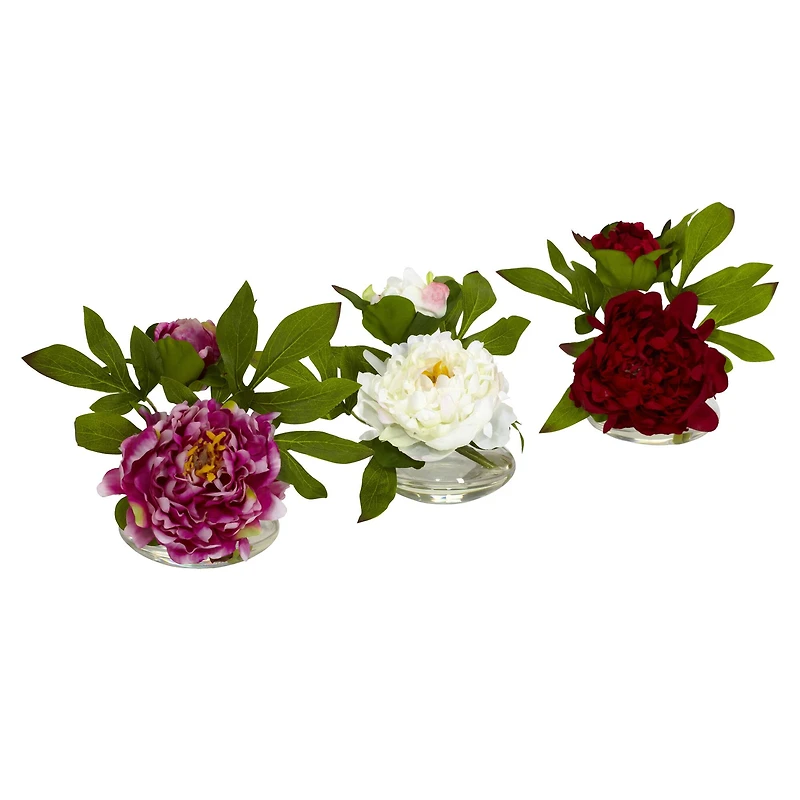 6" Assorted Peony in Glass Vase Set, 3ct.