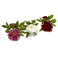 6" Assorted Peony in Glass Vase Set, 3ct.