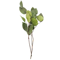 24" Basil Salal Foliage by Ashland®