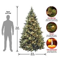 7.5 ft. Pre-lit Hinged Carolina Pine Full Artificial Christmas Tree, Clear Lights