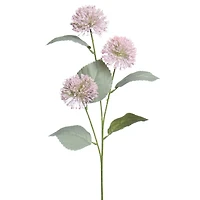 25.5" Pink Allium Stem by Ashland®