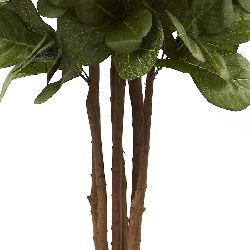 6ft. Potted Fiddle Leaf Fig Tree