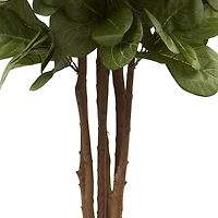 6ft. Potted Fiddle Leaf Fig Tree