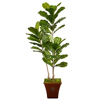 5.5ft. Fiddle Leaf Artificial Tree in Brown Planter UV Resistant (Indoor/Outdoor)