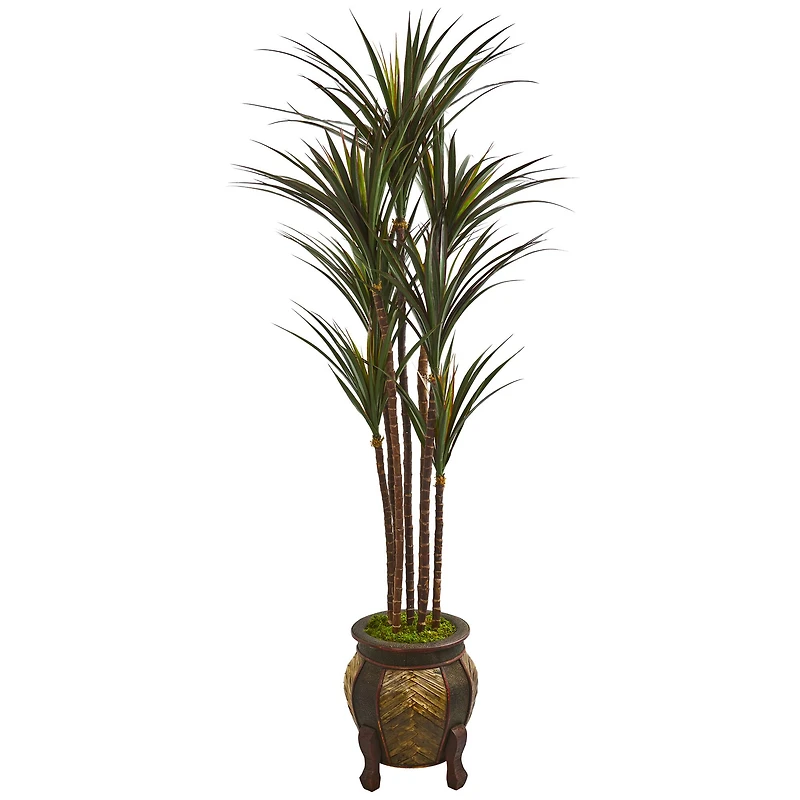 5ft. Giant Yucca Tree in Decorative Planter
