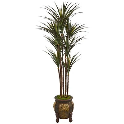 5ft. Giant Yucca Tree in Decorative Planter