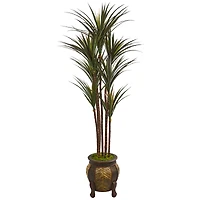 5ft. Giant Yucca Tree in Decorative Planter
