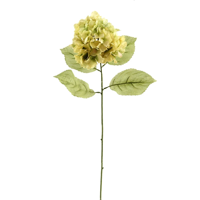Hydrangea Stem by Ashland®
