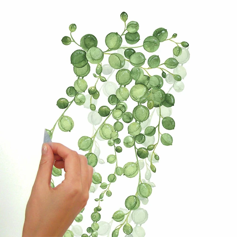RoomMates String Of Pearls Vine Peel & Stick Wall Decals