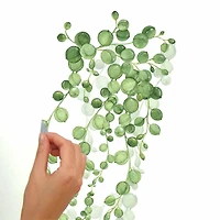 RoomMates String Of Pearls Vine Peel & Stick Wall Decals