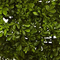 22” Boxwood Wreath