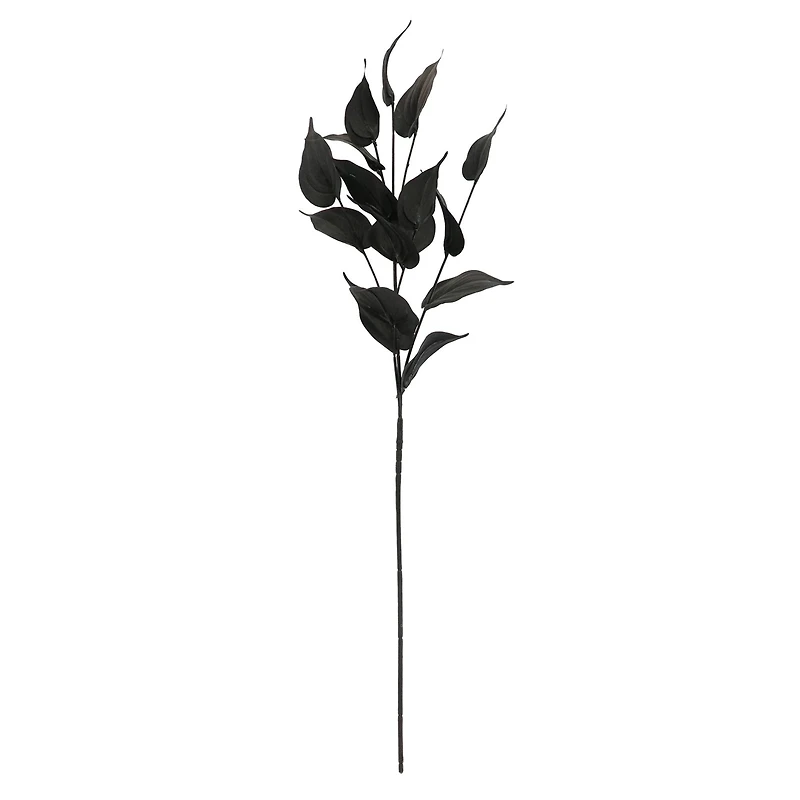 Black Philodendron Leaves Stem by Ashland®